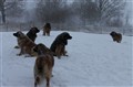 jan2012 203.jpg