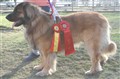 moheda.april.2011 010.jpg